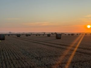 bales in front of castle
